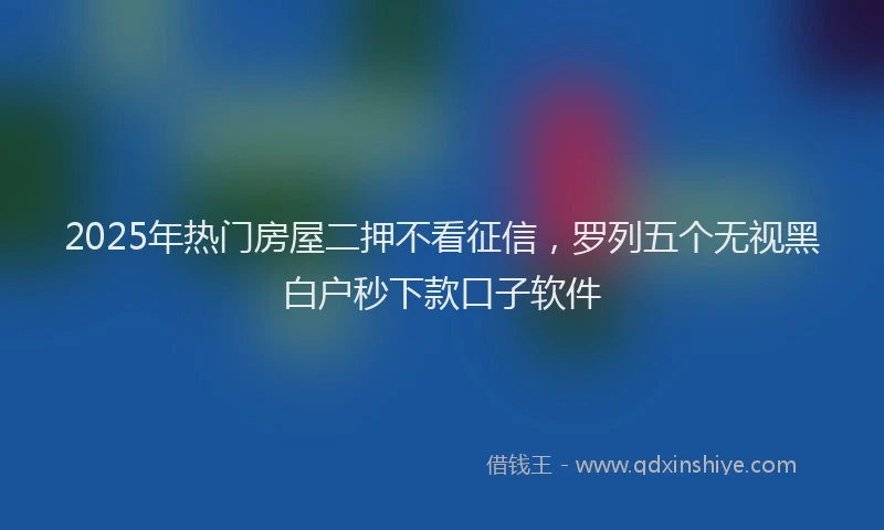 2025年热门房屋二押不看征信，罗列五个无视黑白户秒下款口子软件