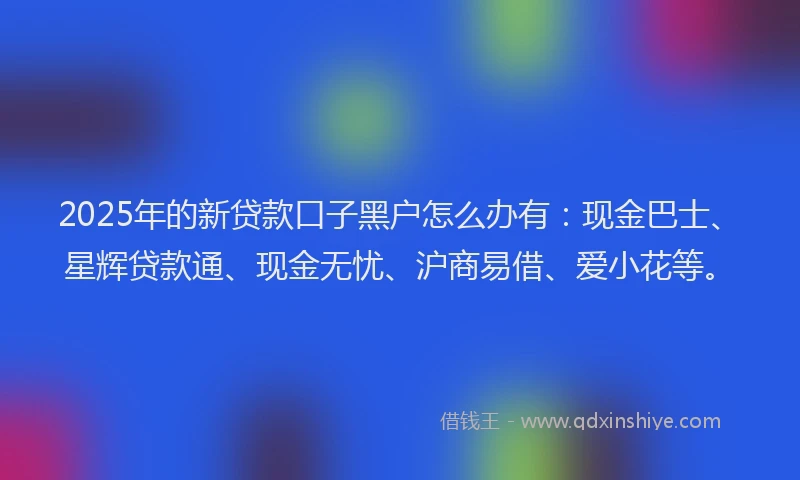 2025年的新贷款口子黑户怎么办有：现金巴士、星辉贷款通、现金无忧、沪商易借、爱小花等。