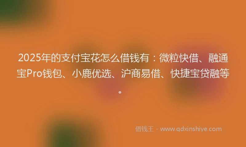 2025年的支付宝花怎么借钱有：微粒快借、融通宝Pro钱包、小鹿优选、沪商易借、快捷宝贷融等。