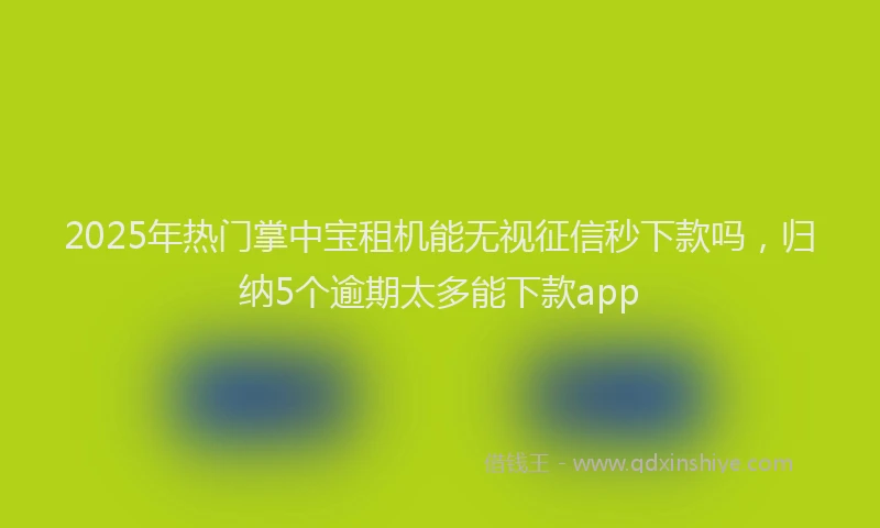 2025年热门掌中宝租机能无视征信秒下款吗，归纳5个逾期太多能下款app