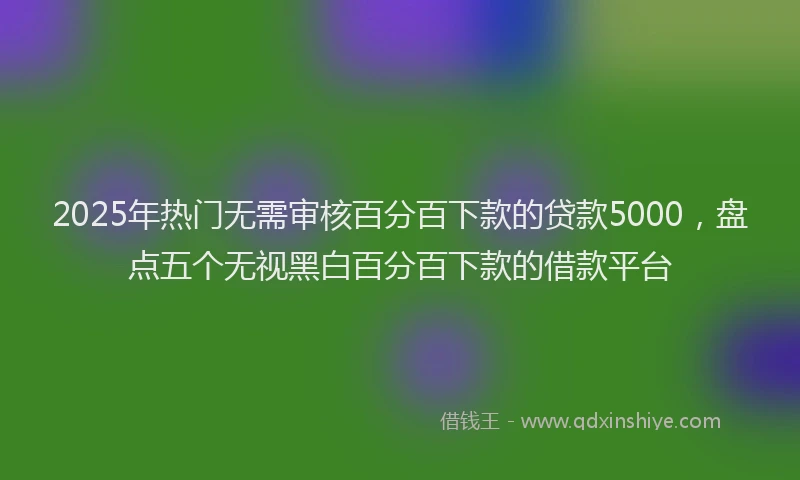 2025年热门无需审核百分百下款的贷款5000，盘点五个无视黑白百分百下款的借款平台