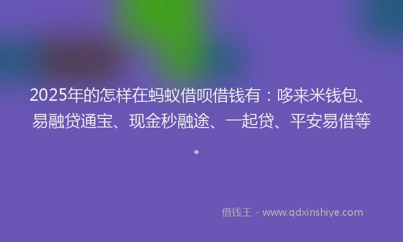 2025年的怎样在蚂蚁借呗借钱有：哆来米钱包、易融贷通宝、现金秒融途、一起贷、平安易借等。