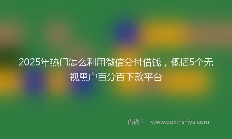 2025年热门怎么利用微信分付借钱，概括5个无视黑户百分百下款平台