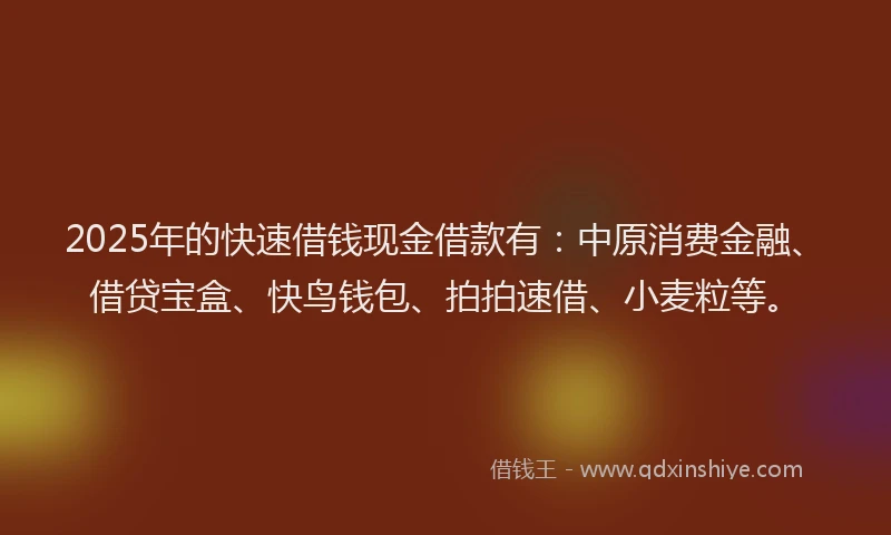2025年的快速借钱现金借款有：中原消费金融、借贷宝盒、快鸟钱包、拍拍速借、小麦粒等。