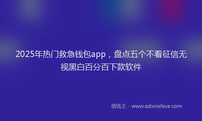 2025年热门救急钱包app，盘点五个不看征信无视黑白百分百下款软件