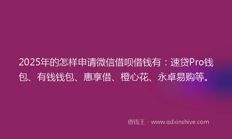2025年的怎样申请微信借呗借钱有：速贷Pro钱包、有钱钱包、惠享借、橙心花、永卓易购等。