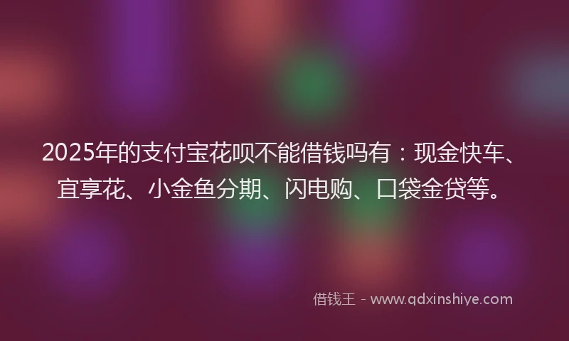 2025年的支付宝花呗不能借钱吗有：现金快车、宜享花、小金鱼分期、闪电购、口袋金贷等。