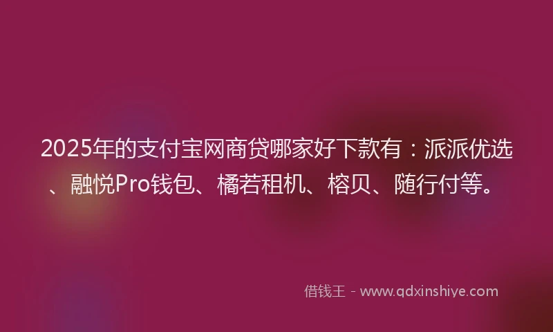 2025年的支付宝网商贷哪家好下款有：派派优选、融悦Pro钱包、橘若租机、榕贝、随行付等。