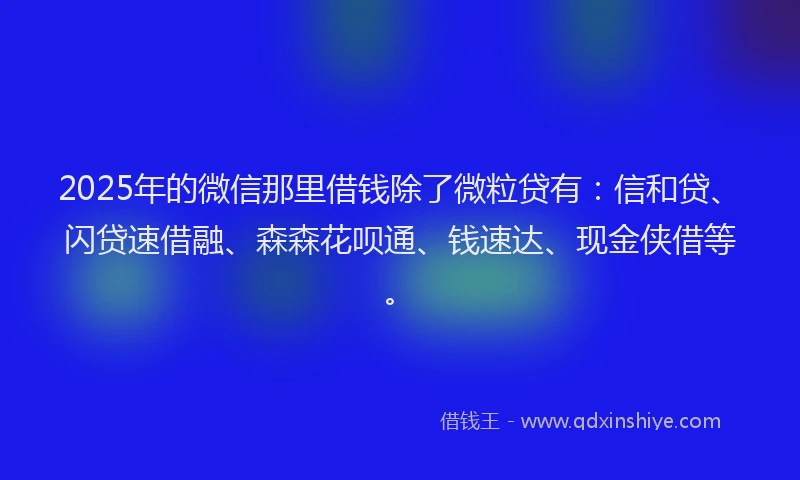 2025年的微信那里借钱除了微粒贷有：信和贷、闪贷速借融、森森花呗通、钱速达、现金侠借等。