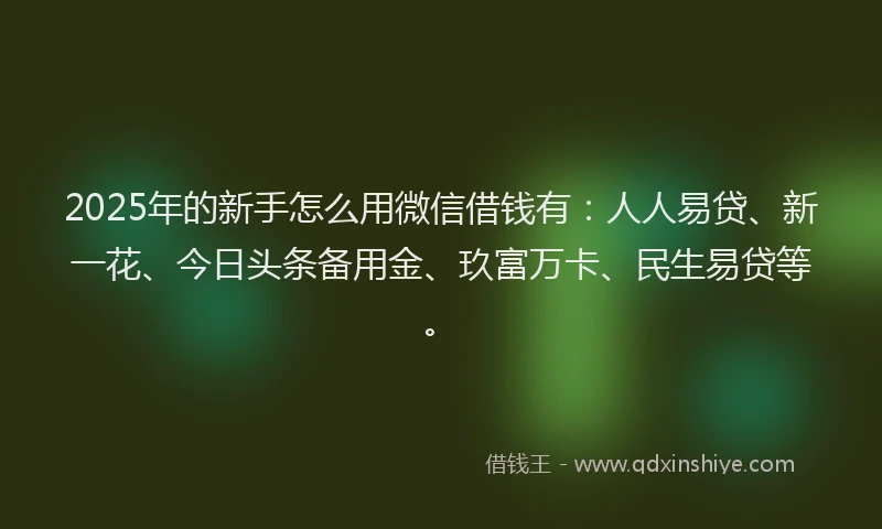2025年的新手怎么用微信借钱有：人人易贷、新一花、今日头条备用金、玖富万卡、民生易贷等。