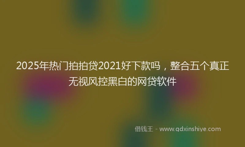 2025年热门拍拍贷2021好下款吗，整合五个真正无视风控黑白的网贷软件