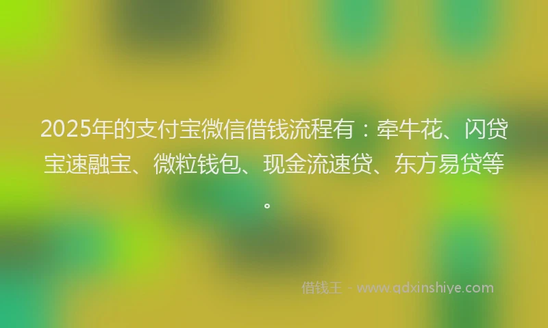 2025年的支付宝微信借钱流程有：牵牛花、闪贷宝速融宝、微粒钱包、现金流速贷、东方易贷等。