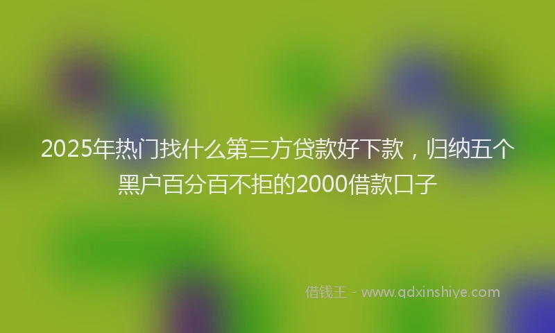 2025年热门找什么第三方贷款好下款，归纳五个黑户百分百不拒的2000借款口子