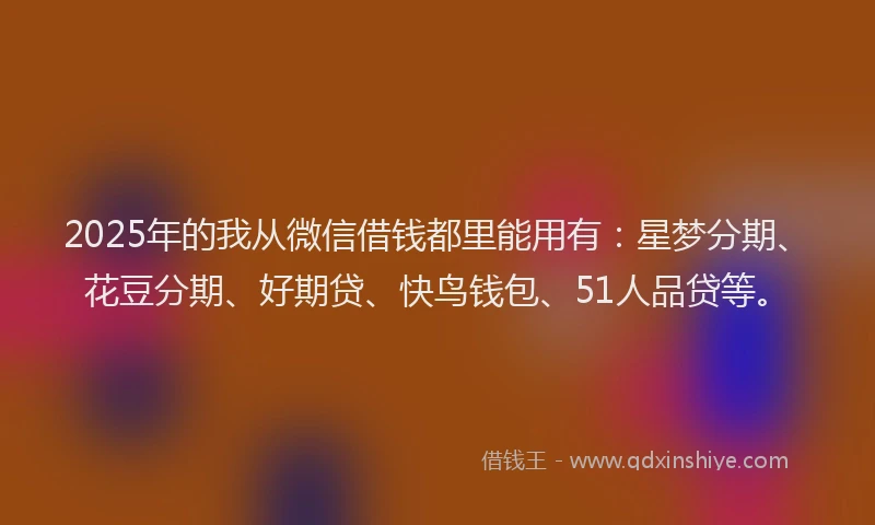 2025年的我从微信借钱都里能用有：星梦分期、花豆分期、好期贷、快鸟钱包、51人品贷等。