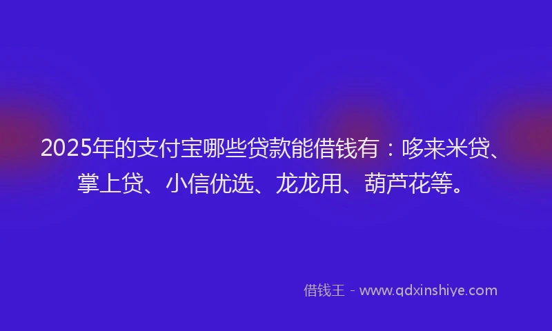 2025年的支付宝哪些贷款能借钱有：哆来米贷、掌上贷、小信优选、龙龙用、葫芦花等。