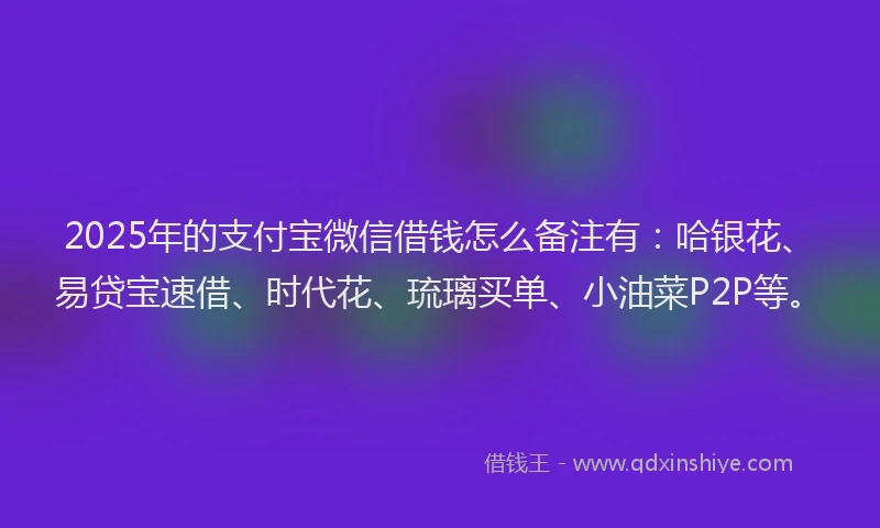2025年的支付宝微信借钱怎么备注有：哈银花、易贷宝速借、时代花、琉璃买单、小油菜P2P等。