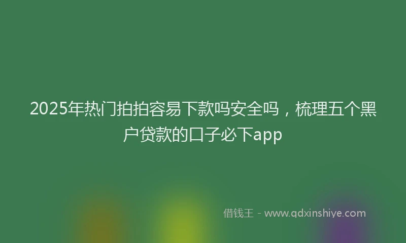 2025年热门拍拍容易下款吗安全吗，梳理五个黑户贷款的口子必下app