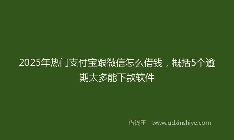 2025年热门支付宝跟微信怎么借钱，概括5个逾期太多能下款软件