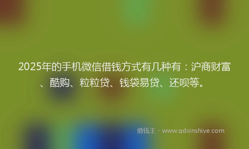 2025年的手机微信借钱方式有几种有：沪商财富、酷购、粒粒贷、钱袋易贷、还呗等。