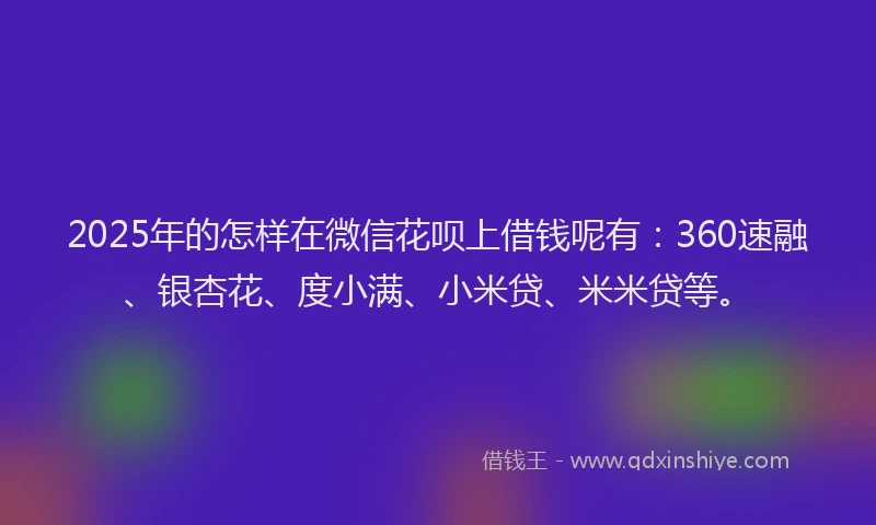 2025年的怎样在微信花呗上借钱呢有：360速融、银杏花、度小满、小米贷、米米贷等。