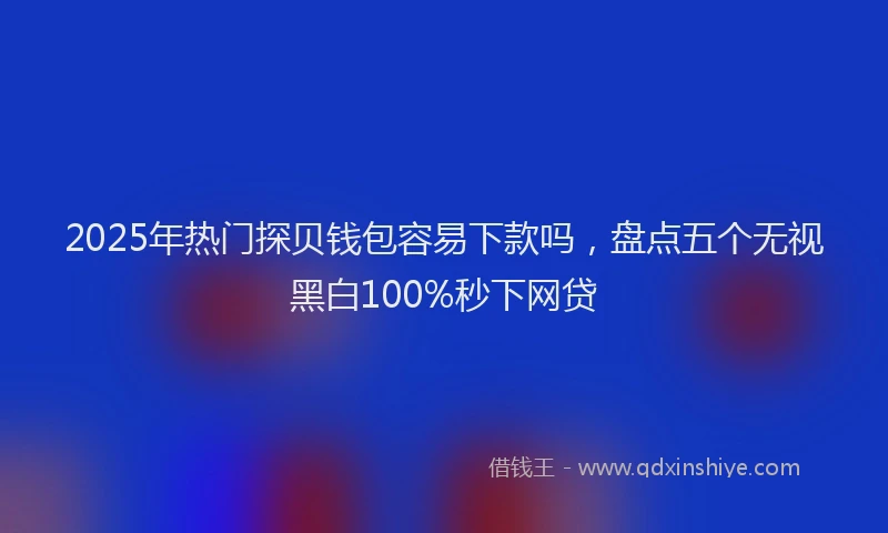 2025年热门探贝钱包容易下款吗，盘点五个无视黑白100%秒下网贷