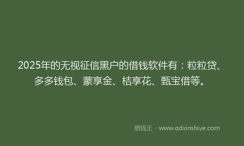 2025年的无视征信黑户的借钱软件有：粒粒贷、多多钱包、蒙享金、桔享花、甄宝借等。