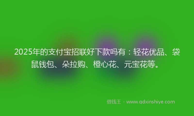 2025年的支付宝招联好下款吗有：轻花优品、袋鼠钱包、朵拉购、橙心花、元宝花等。