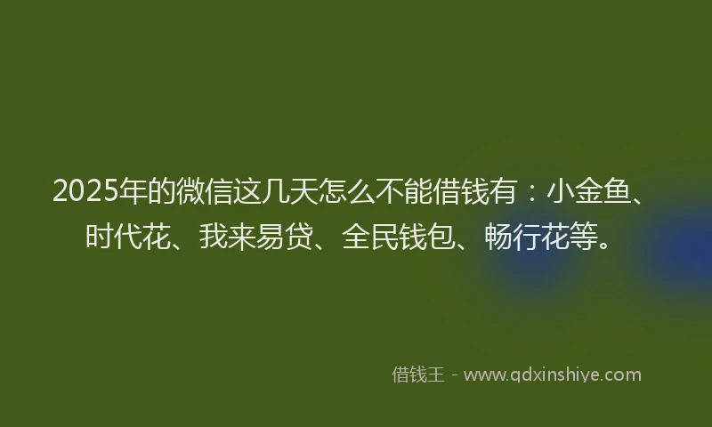 2025年的微信这几天怎么不能借钱有：小金鱼、时代花、我来易贷、全民钱包、畅行花等。