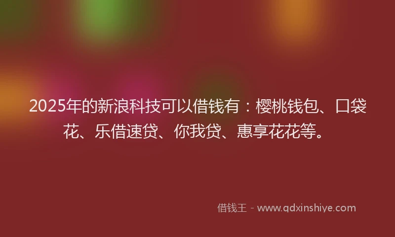 2025年的新浪科技可以借钱有：樱桃钱包、口袋花、乐借速贷、你我贷、惠享花花等。