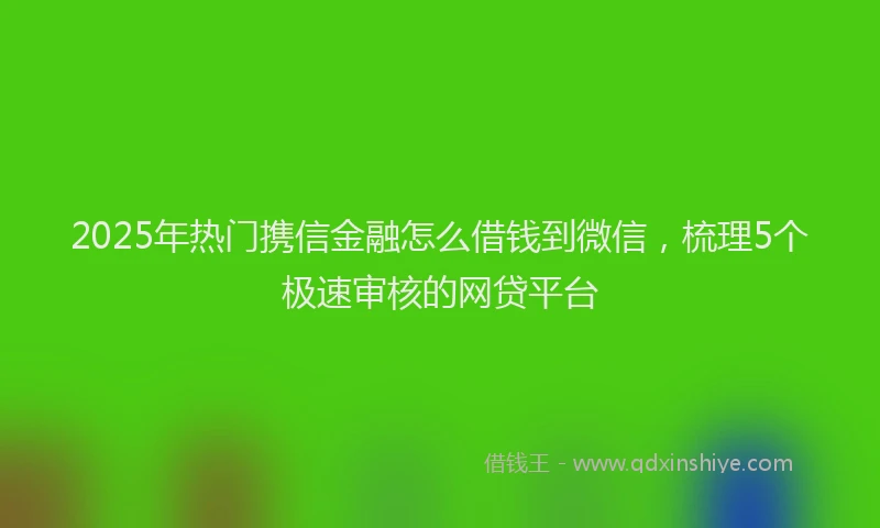 2025年热门携信金融怎么借钱到微信，梳理5个极速审核的网贷平台