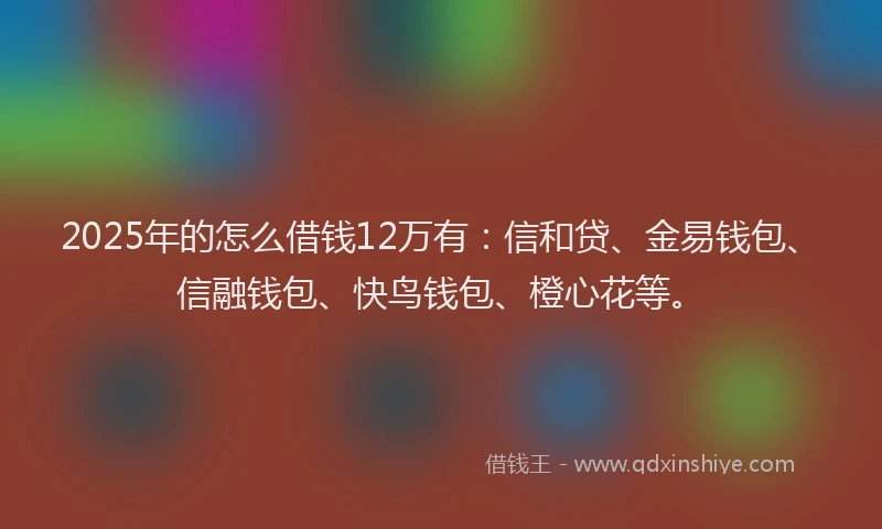 2025年的怎么借钱12万有：信和贷、金易钱包、信融钱包、快鸟钱包、橙心花等。