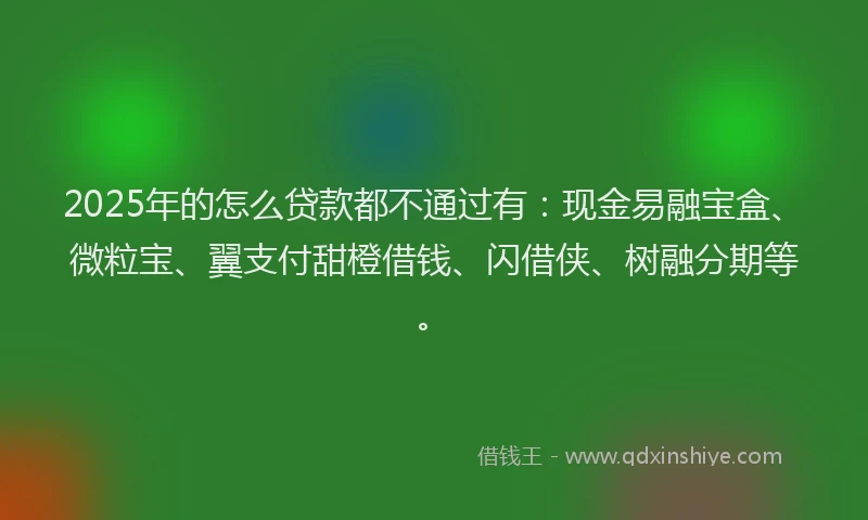 2025年的怎么贷款都不通过有：现金易融宝盒、微粒宝、翼支付甜橙借钱、闪借侠、树融分期等。