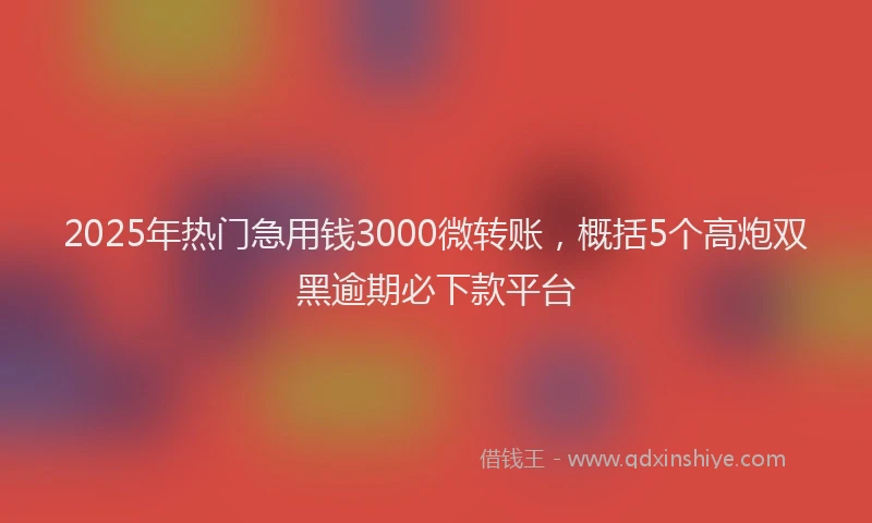 2025年热门急用钱3000微转账，概括5个高炮双黑逾期必下款平台