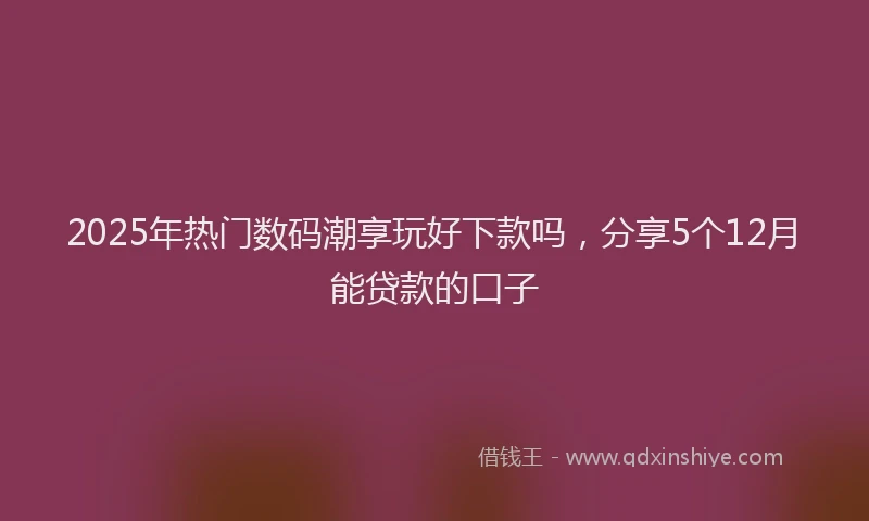 2025年热门数码潮享玩好下款吗，分享5个12月能贷款的口子