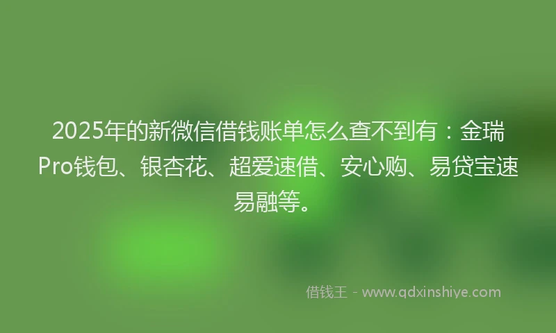 2025年的新微信借钱账单怎么查不到有：金瑞Pro钱包、银杏花、超爱速借、安心购、易贷宝速易融等。