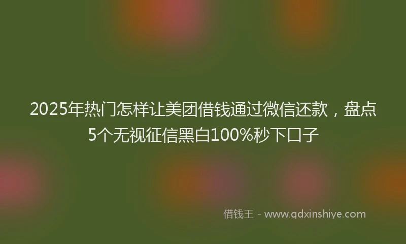 2025年热门怎样让美团借钱通过微信还款，盘点5个无视征信黑白100%秒下口子