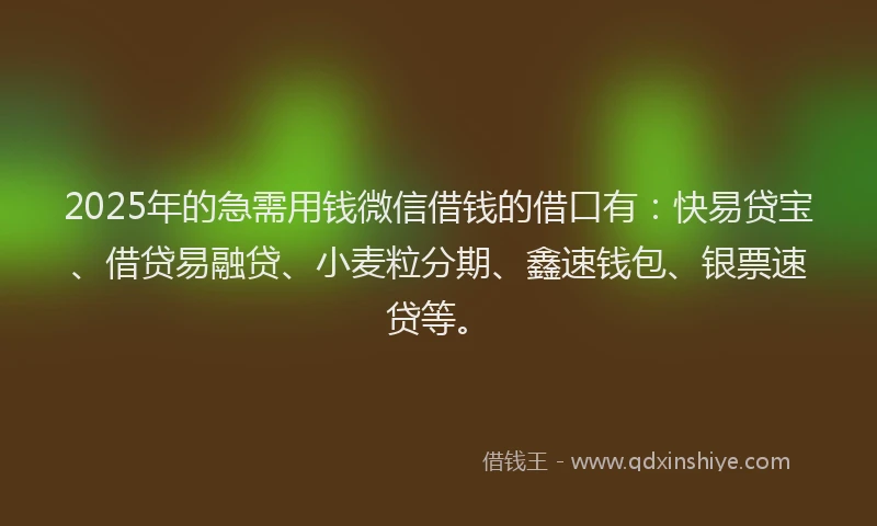 2025年的急需用钱微信借钱的借口有：快易贷宝、借贷易融贷、小麦粒分期、鑫速钱包、银票速贷等。