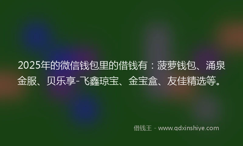 2025年的微信钱包里的借钱有：菠萝钱包、涌泉金服、贝乐享-飞鑫琼宝、金宝盒、友佳精选等。