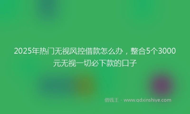 2025年热门无视风控借款怎么办，整合5个3000元无视一切必下款的口子
