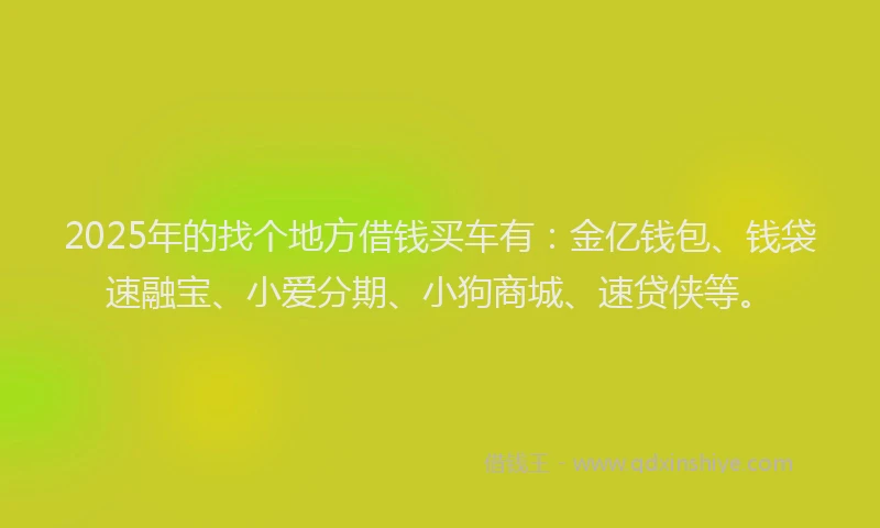 2025年的找个地方借钱买车有：金亿钱包、钱袋速融宝、小爱分期、小狗商城、速贷侠等。
