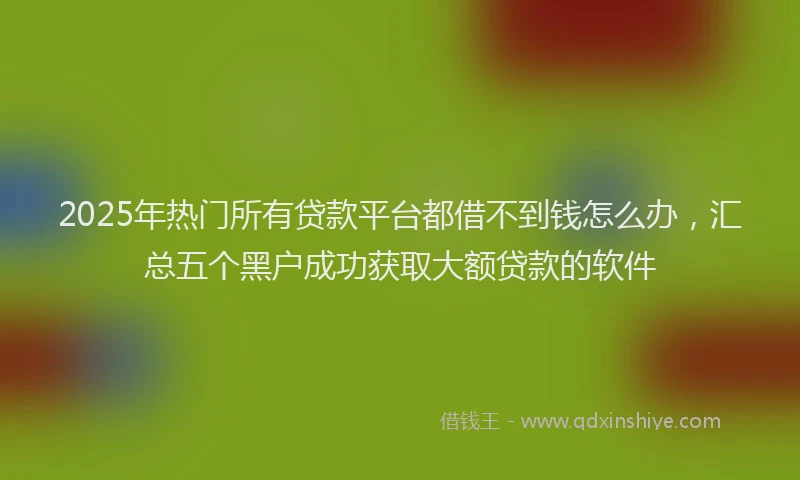 2025年热门所有贷款平台都借不到钱怎么办，汇总五个黑户成功获取大额贷款的软件