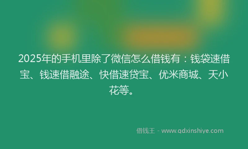2025年的手机里除了微信怎么借钱有：钱袋速借宝、钱速借融途、快借速贷宝、优米商城、天小花等。