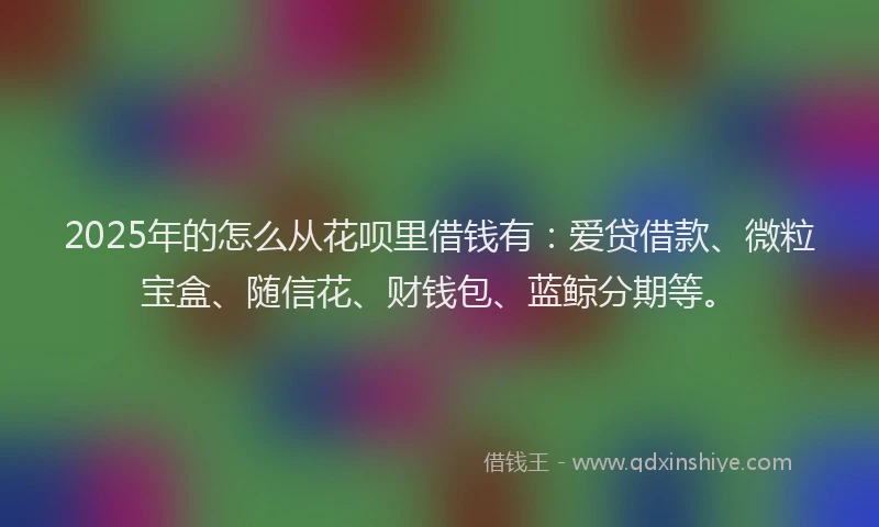 2025年的怎么从花呗里借钱有：爱贷借款、微粒宝盒、随信花、财钱包、蓝鲸分期等。
