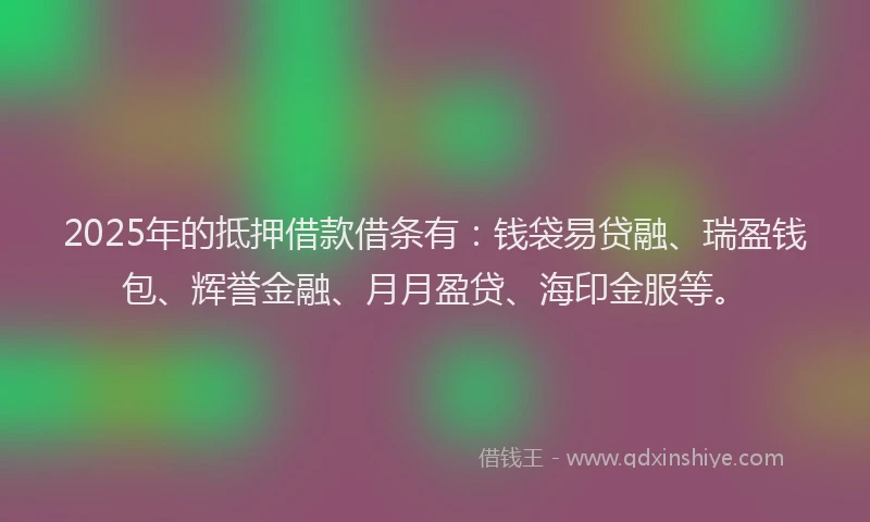 2025年的抵押借款借条有：钱袋易贷融、瑞盈钱包、辉誉金融、月月盈贷、海印金服等。