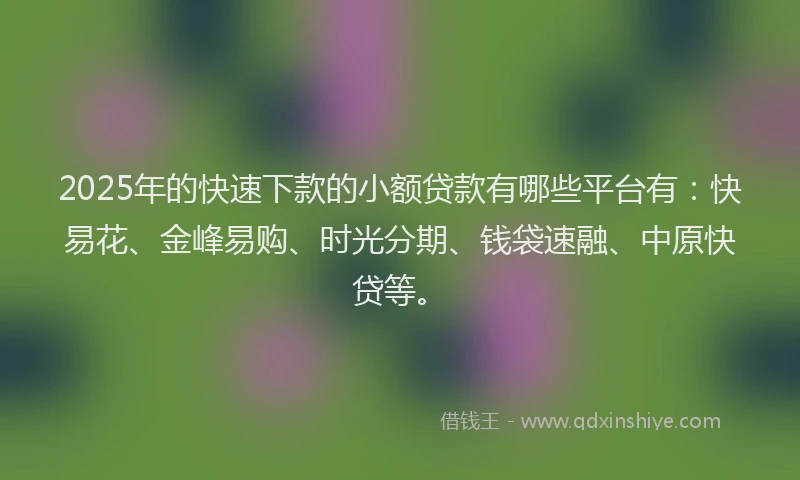 2025年的快速下款的小额贷款有哪些平台有：快易花、金峰易购、时光分期、钱袋速融、中原快贷等。