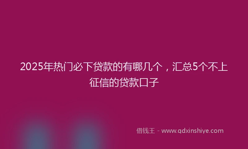 2025年热门必下贷款的有哪几个，汇总5个不上征信的贷款口子