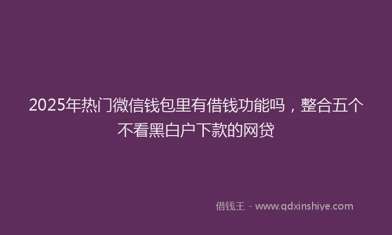 2025年热门微信钱包里有借钱功能吗，整合五个不看黑白户下款的网贷