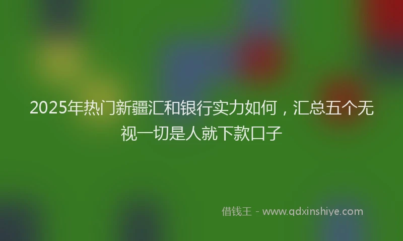 2025年热门新疆汇和银行实力如何，汇总五个无视一切是人就下款口子