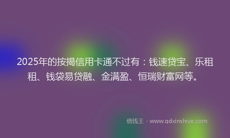 2025年的按揭信用卡通不过有：钱速贷宝、乐租租、钱袋易贷融、金满盈、恒瑞财富网等。