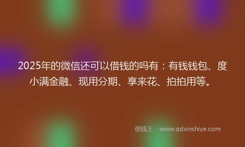 2025年的微信还可以借钱的吗有：有钱钱包、度小满金融、现用分期、享来花、拍拍用等。